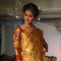 Palam Silk Fashion Show 2011 Pictures | Picture 74229